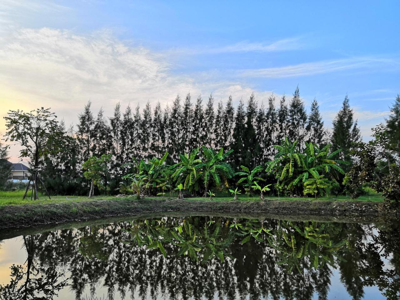 On Green Resort Ban Huai Sua Exteriör bild